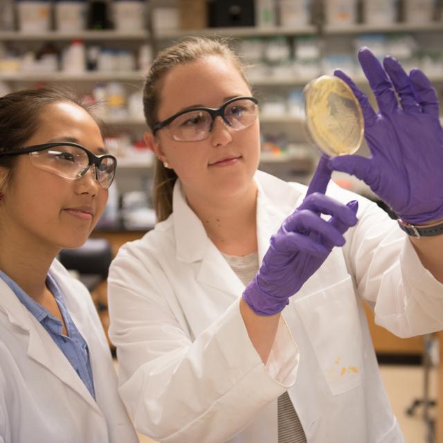 students looking at a petri-dish