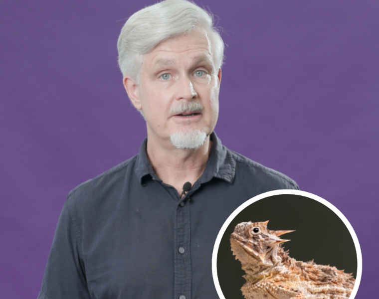 Dean Williams and a horned frog