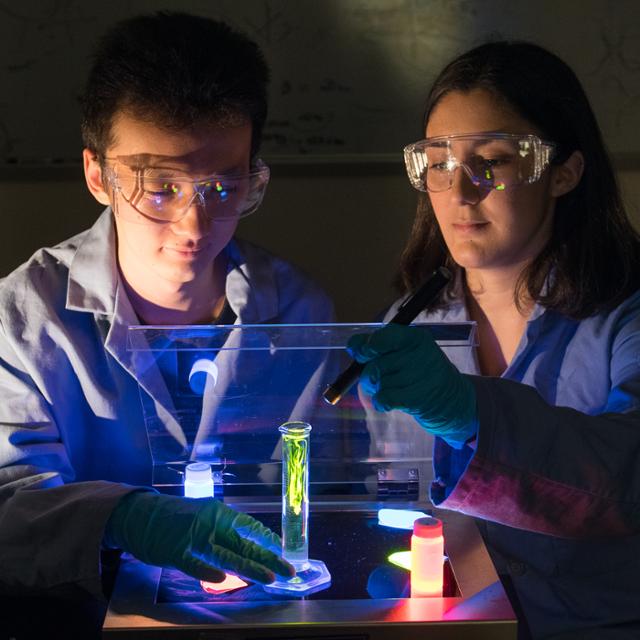 photo of students in a lab