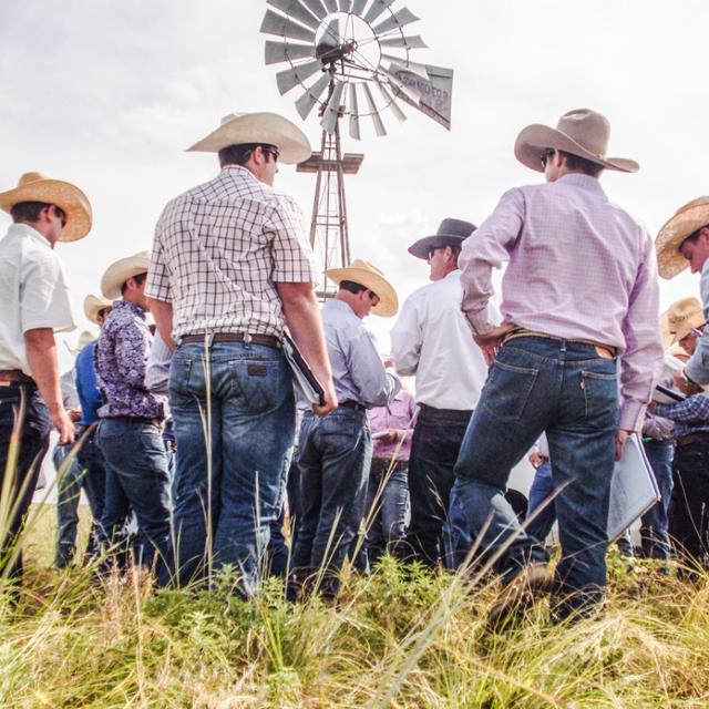 Ranch management in field