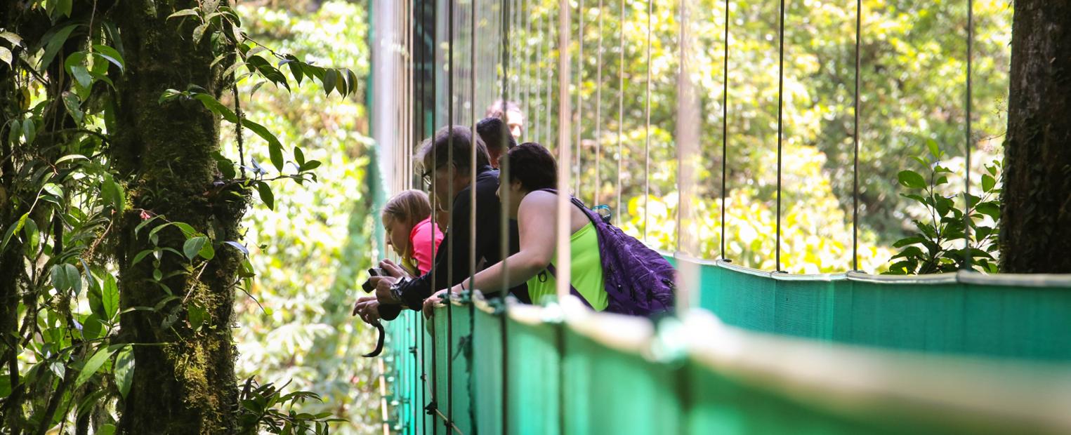 students on a bridge in Costa Rica