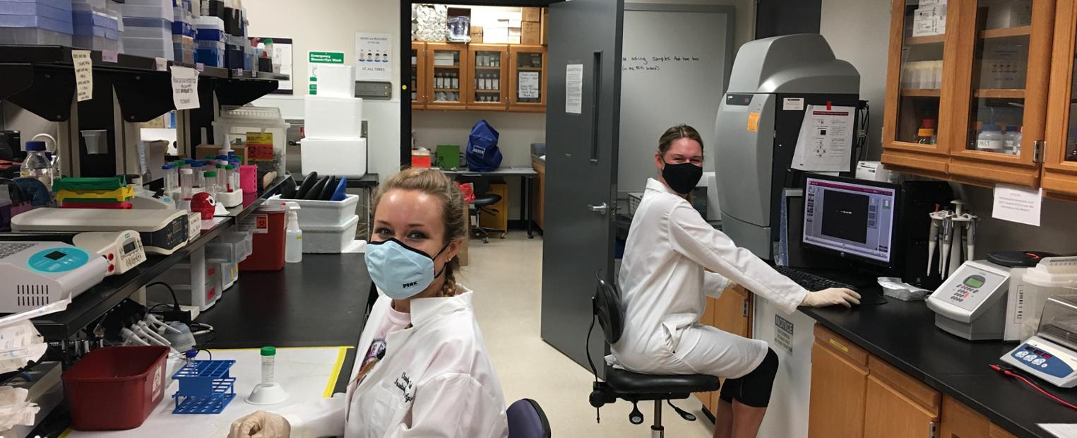 Graduate students make a safe return to research with masks and social distancing