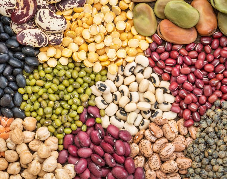 beans