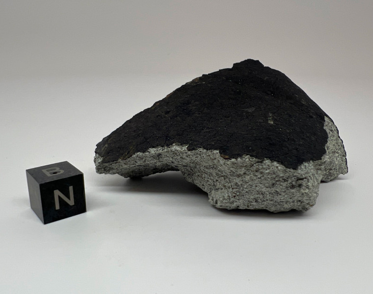 A rare meteorite from Texas known as El Sauz