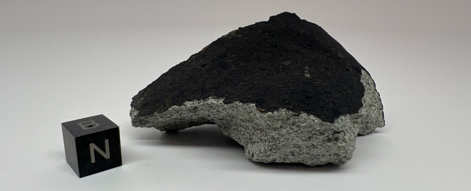 A rare meteorite from Texas known as El Sauz