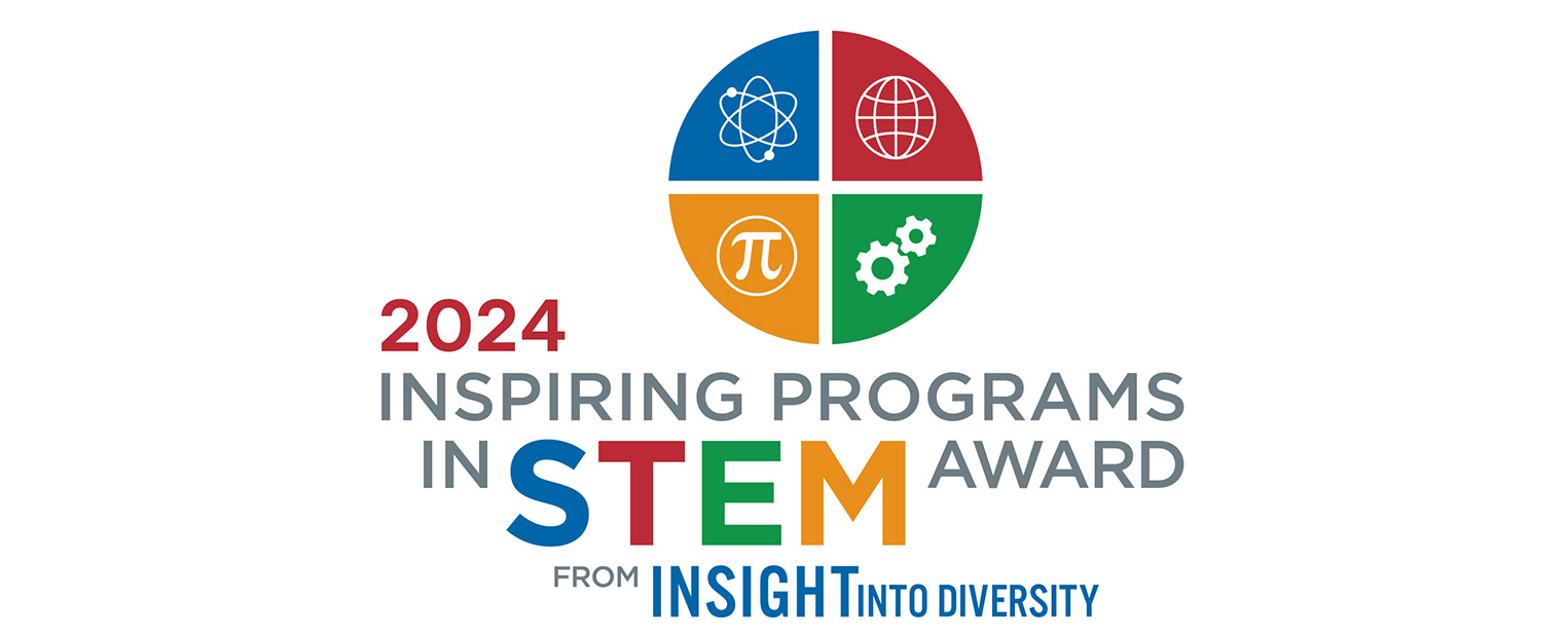 STEM Award 2024 Logo
