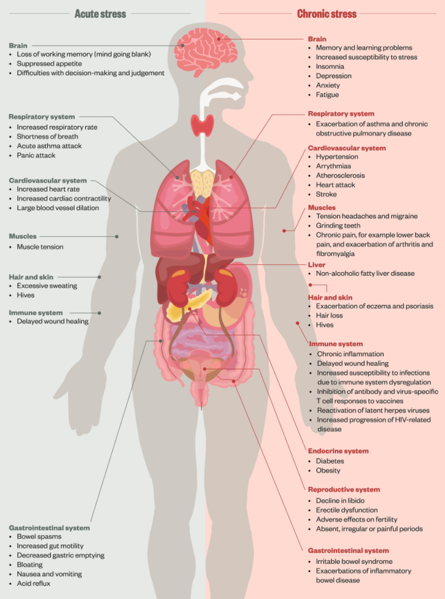 stressonbody